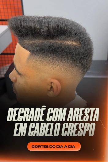 aresta-em-cabelocrespo 1
