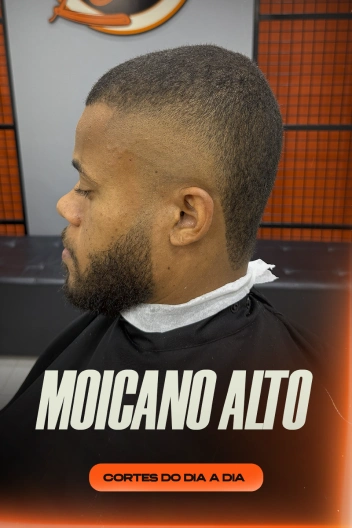 moicanoalto 1